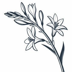 Fototapeta premium Creative Black and white flowers icon with vector illustration