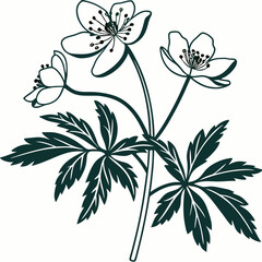 Creative Black and white flowers icon with vector illustration