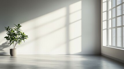 Fototapeta premium Modern minimalist interior with plant and large window light