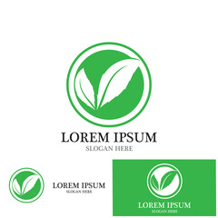 nature leaf simple logo and vector template