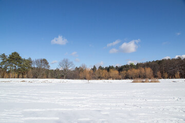 winter landscape with snow