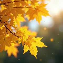 Obraz premium Golden yellow leaves falling from a Ginkgo tree branch, green, brown, nature