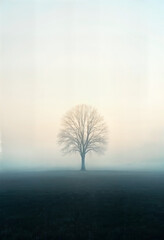 Minimalist landscape of a solitary tree 