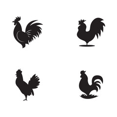Rooster isolated logo icon vector illustration template design