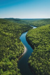 River runs through lush green forest