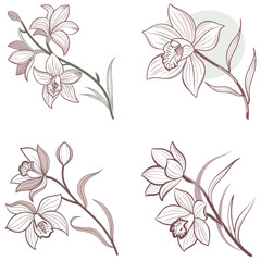 Fototapeta premium A delicate orchid flower icon with unique petal patterns. 