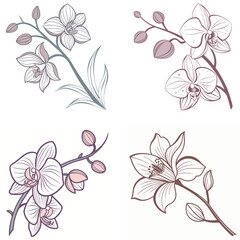Fototapeta premium A delicate orchid flower icon with unique petal patterns. 