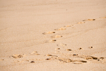 Footprints on the beach