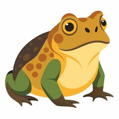 frog on a white background