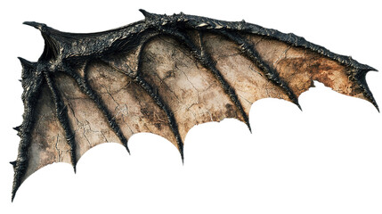 Bats flying in the moonlight enchanted forest fantasy artwork mystical atmosphere dramatic perspective creature imagery