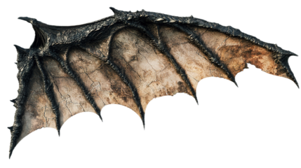 Bats flying in the moonlight enchanted forest fantasy artwork mystical atmosphere dramatic perspective creature imagery