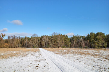 Obraz premium Winter landscape with forest and glade, West Pomeranian Voivodeship, Poland.