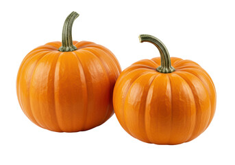 Obraz premium Isolated Pair of Ripe Pumpkins - Autumn Harvest Decor