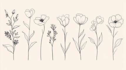 Elegant botanical line art of various flowers and leaves