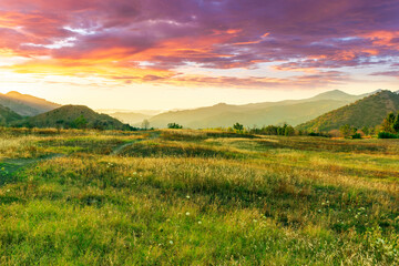 beautiful green valley with green fields with green spring grass with nive hills and mountains and...