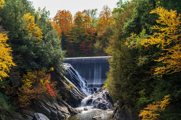 A small waterfall in a rocky forest