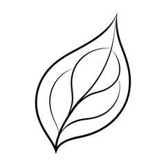 leaf with soft curves
