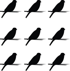 set of vector  birds silhouettes 