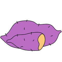 Taro root vegetable icon