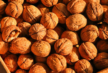 A close-up view of a pile of unshelled walnuts, showcasing their rough and natural texture. Akhrot walnuts in India. Shelled Whole Walnuts Background (Shell Nuts Background). Akshot, Hirvak, Vatash.