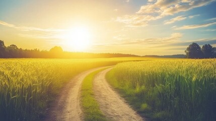 Fototapeta premium Serene Sunrise Over a Winding Path Through Golden Wheat Fields