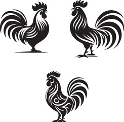 rooster isolated on white