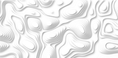 Abstract Luxury paper cut background, Abstract decoration, Topographic geometric map relief texture with curved layers and shadow. Abstract soft white background.