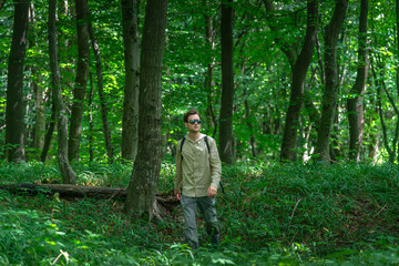 Fototapeta premium Adventurous man hiking through a forested mountain area, surrounded by lush green trees and dappled sunlight.