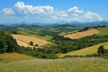 Fototapeta premium Scenic landscape showing rolling hills and fields in Tuscany, Italy under blue sky
