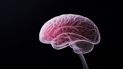 Human Brain Anatomy  Neurology  Neuroscience  Mind  Intelligence  Cognitive  Neural Networ