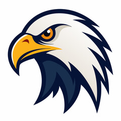 american bald eagle
