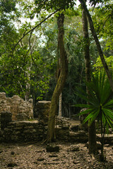 Archeological site, jungle, Mexico, Tulum