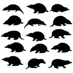 set of moles collection of silhouettes of black vector