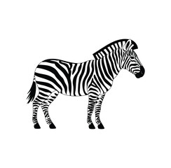 Black and White Zebra Vector Illustration – Animal Silhouette on White Background