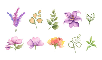 Watercolor floral elements set