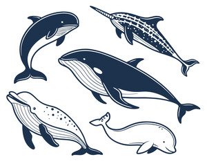 Fototapeta premium Vector Set of Whales and Dolphins – Marine Mammals Illustration Collection