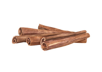 Natural raw dried cinnamon sticks spice stacked watercolor illustration isolated background. Aromatic seasoning from tree bark lying on top of each other. Winter Ingredients for hot drinks, medicine.