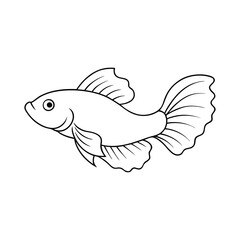 Betta Fish vector illustration