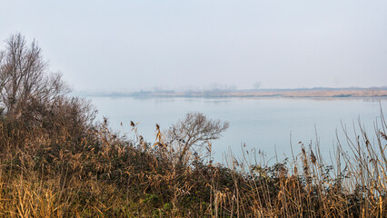 the river Po inside its Veneto side Delta during a winter season, Rovigo, Italy