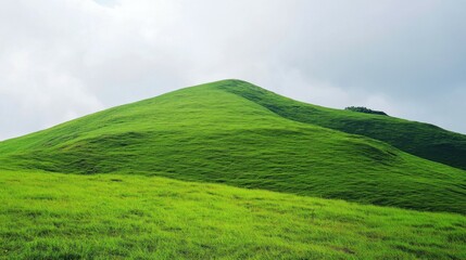Fototapeta premium Hill border nature plant green.