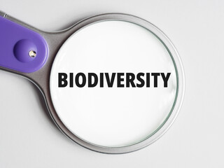 Biodiversity text through magnifying glass background