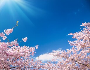 桜と入学のイメージ