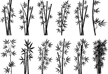 Bamboo from leaves and stems, black silhouette on transparent background, vector set for stencil