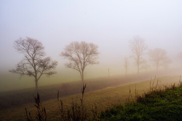 the river Po inside its Veneto side Delta during a winter season, Rovigo, Italy