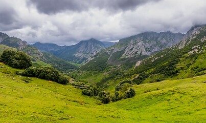 Naklejka premium Majestic view of beautiful lush green valley with trees and colorful grass against high mountains. Beautiful spring landscape. Green grassland and forest with mountain natural landscape.