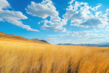 Vibrant Steppe Scene: Golden Grassland Under Autumn Skies with Delicate Cloud Patterns