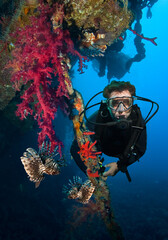 Diver and group of lionfish.