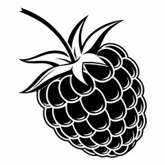 Black and white illustration of a raspberry