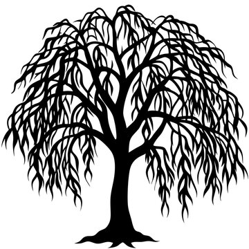 recommend clip art: a detailed silhouette of a weeping willow tree, branches gracefully cascading downwards