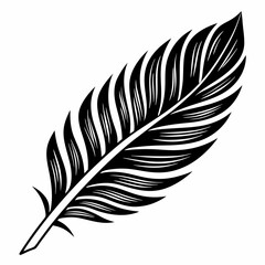 an elegantly detailed black and white feather. The feather features intricate line work that highlight each barb and the central shaft